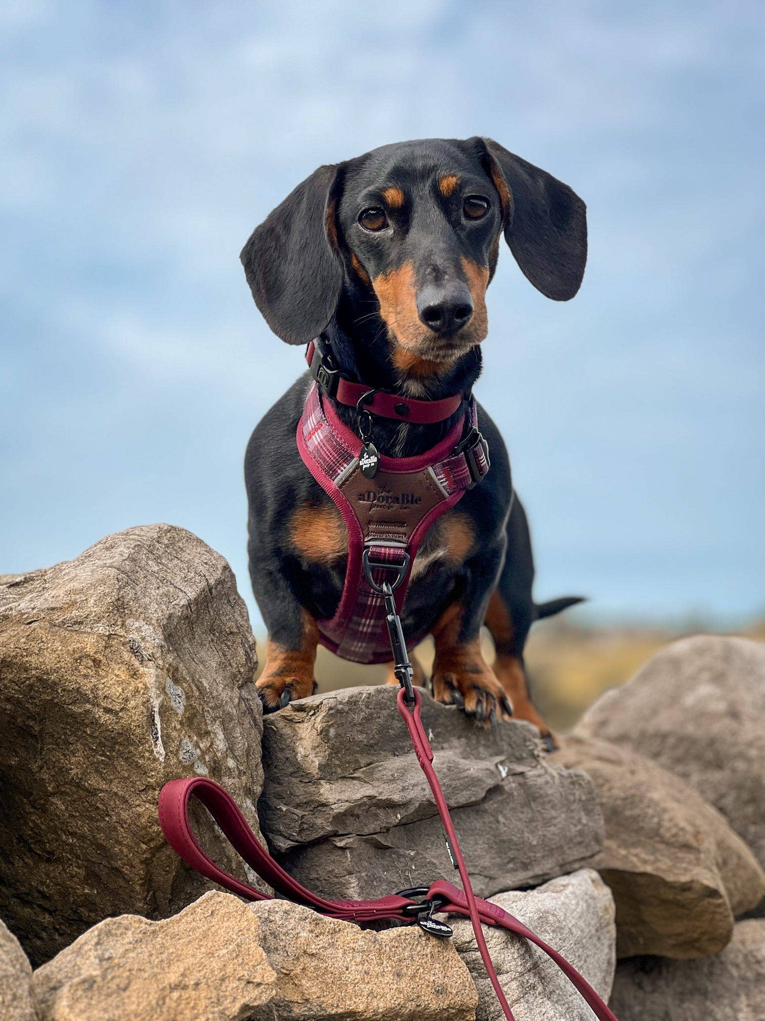 The aDoraBle Pooch Company - Wholesale Pet Harness - Dog - Streamline Pro™ Dog Harness - Heritage Collection - Merlot Manor26