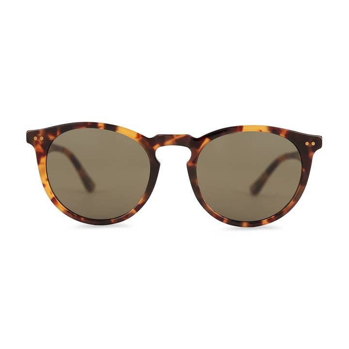 Bondi Brown for wholesale by Bayron Bay Sunglasses