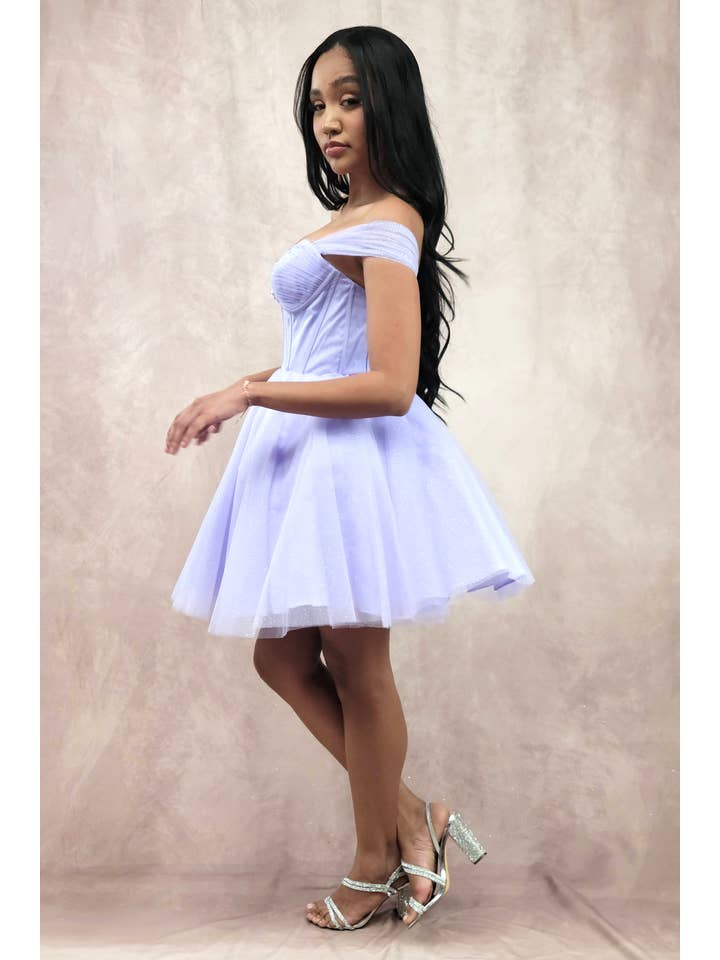 Chicas - Wholesale Dress - Women's - Short Off The Shoulder Tulle Dress With Brooch27