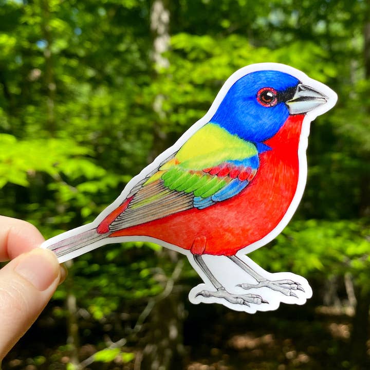 Painted Bunting Weatherproof Vinyl Sticker for wholesale by Allison Stoiser Art