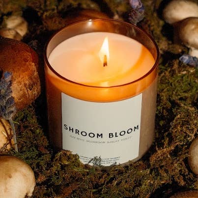 FLOR DE HONGOS para venta al por mayor de Poured New York