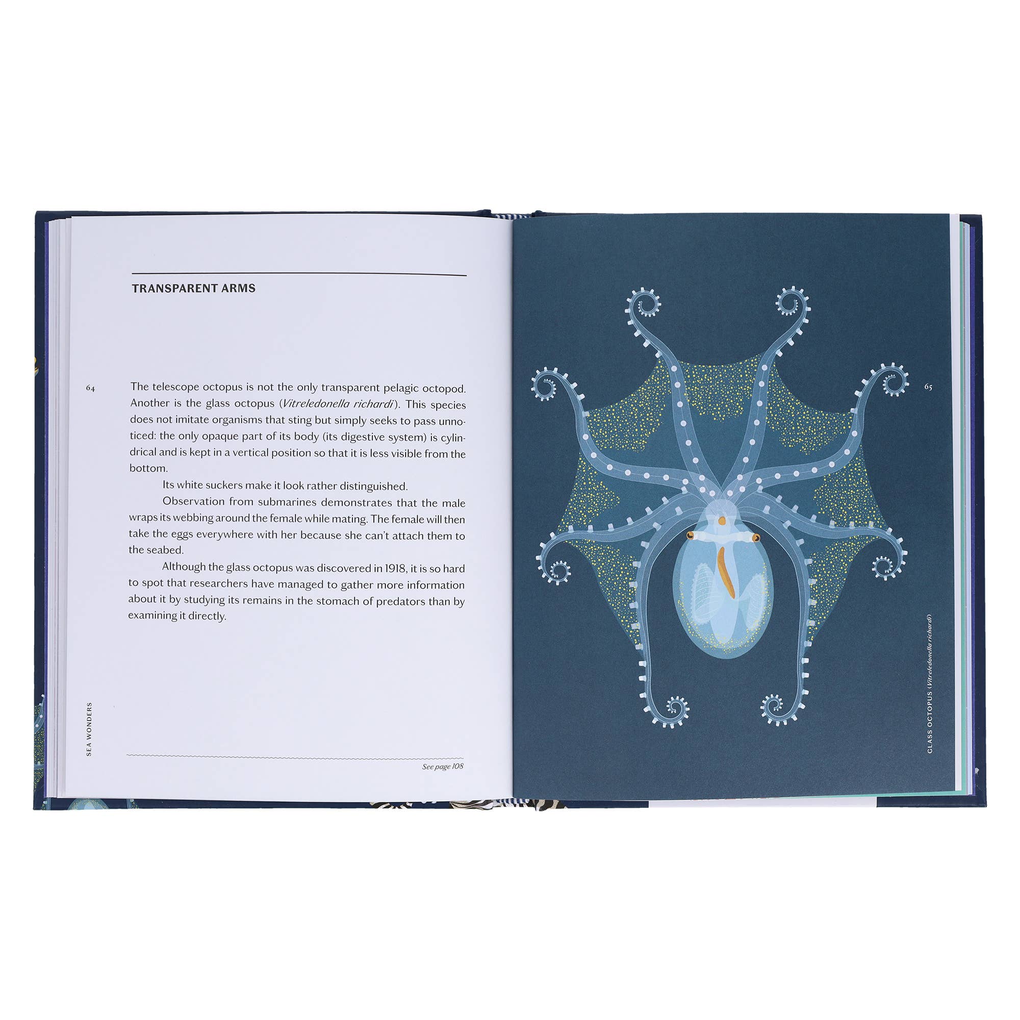 Chronicle Books - Wholesale Nature & Outdoors - Sea Wonders4