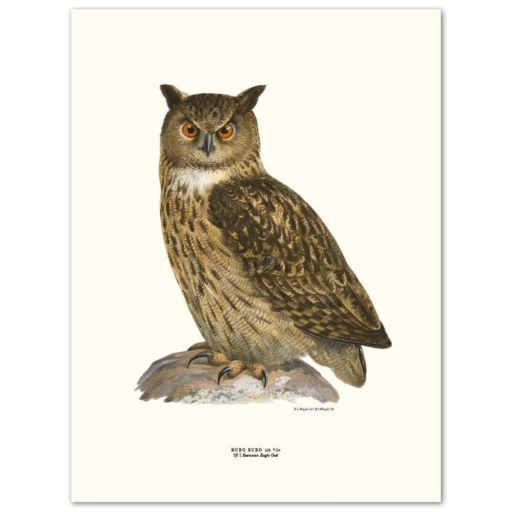 Plakat Uv für den Großhandel von Gullers Trading AB