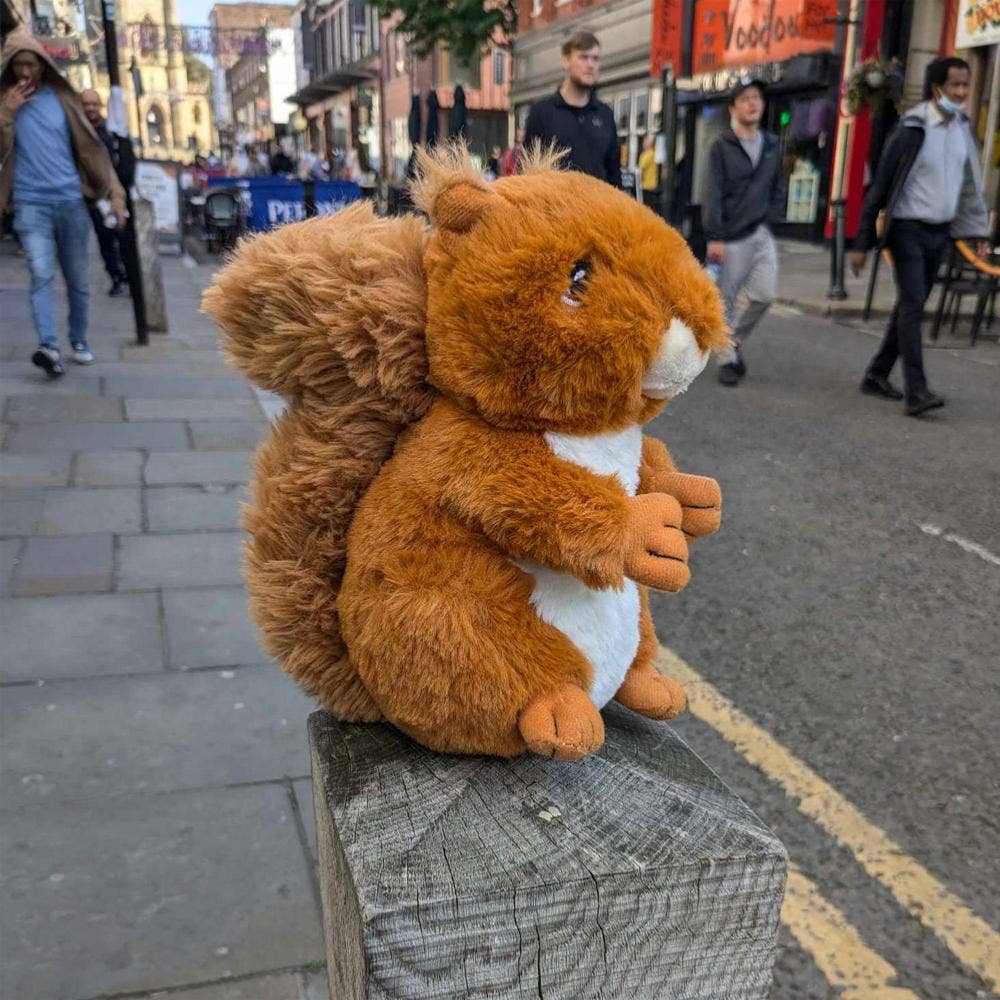 Shared Earth - Wholesale Stuffed/Plush Toy - Kids & Baby - Red Squirrel - Eco Soft Toy1