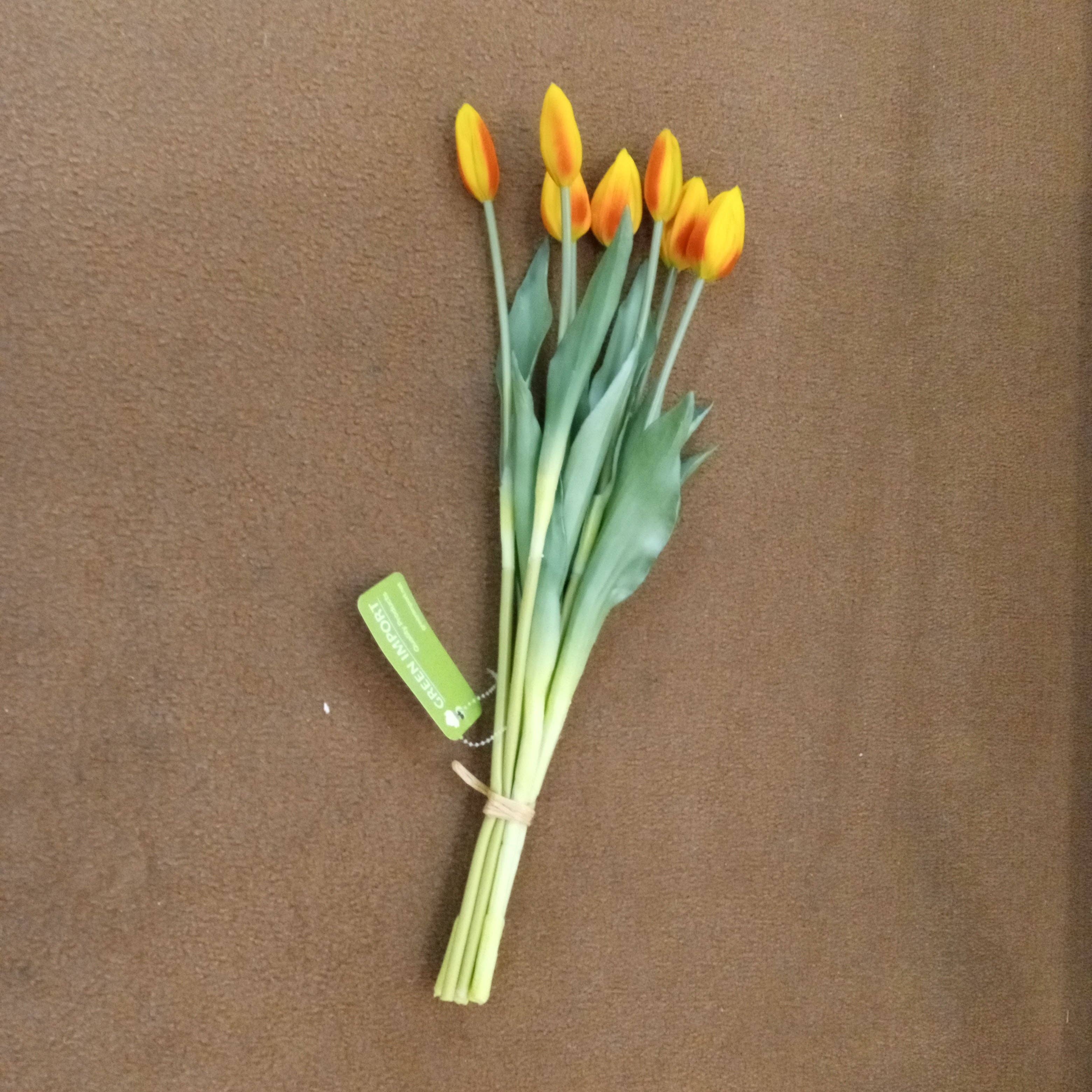 Green Import Limited - Vente Fleurs artificielles - PA10321 Paquet de boutons de tulipe x 7, 17 pouces0
