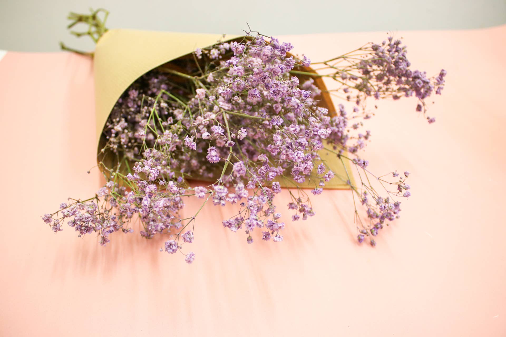Wildestdreams.flowers - Wholesale Dried/Pressed Flowers - Dried Purple Gypsophila Baby's Breath flower bouquets