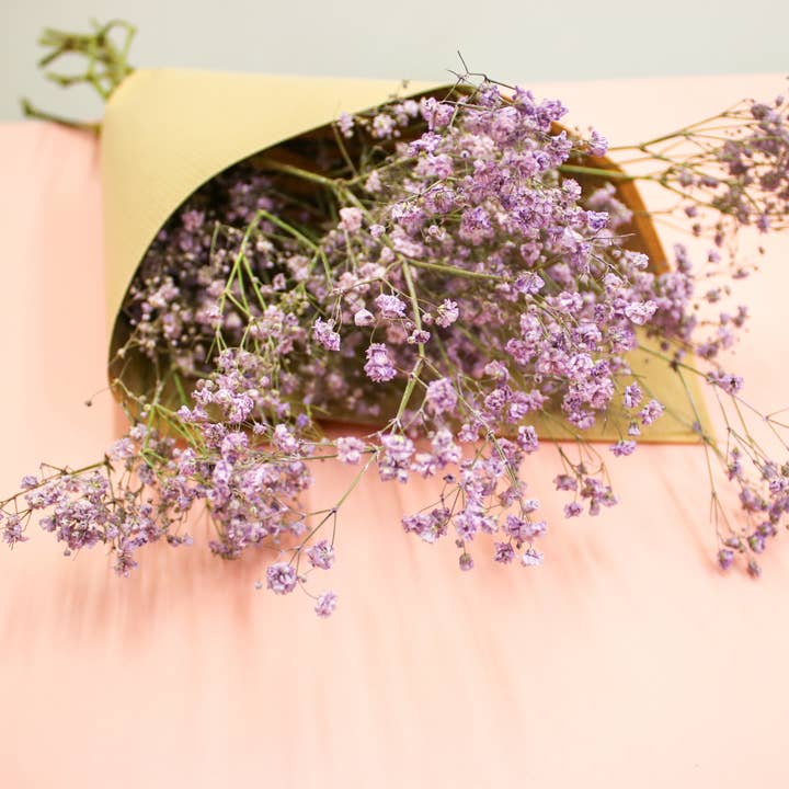 Dried Purple Gypsophila Baby's Breath flower bouquets for wholesale by Wildestdreams.flowers