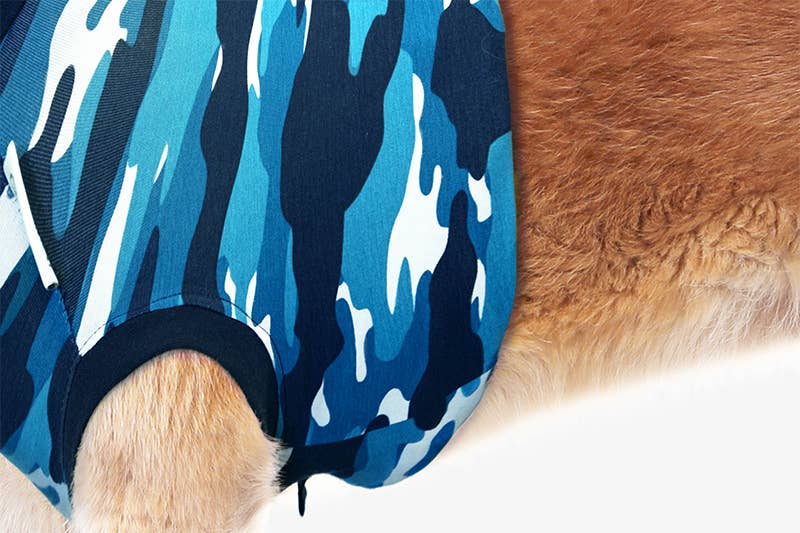 REMOVED BRAND - Wholesale Pet Bodysuit - Cat/Dog - Recovery Suit - Dog7