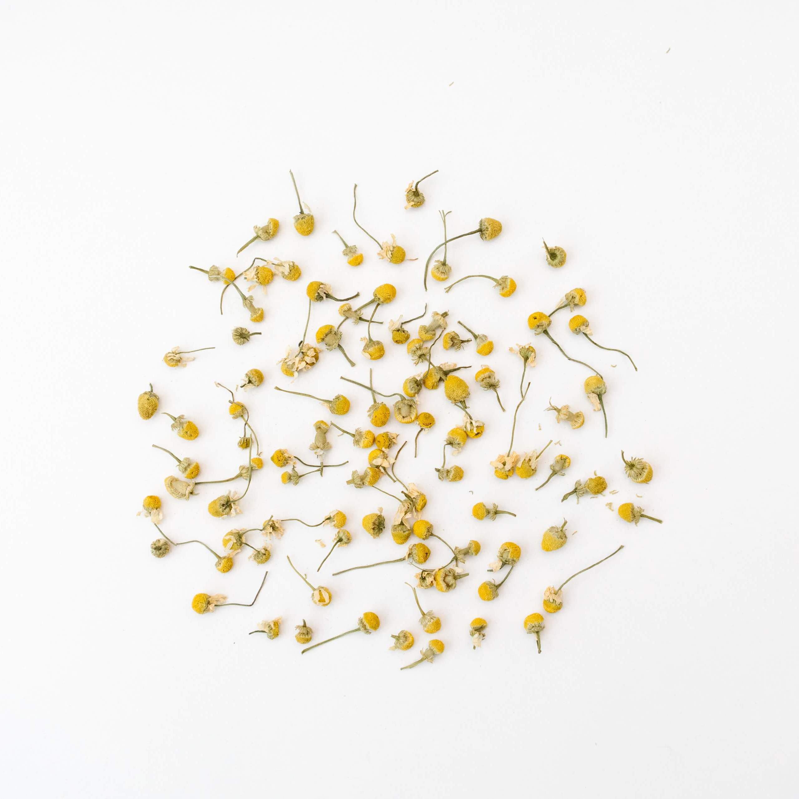 rhoeco - fine organic goods - Vente Thé en vrac - Grandes Sacs de Thés Bio en Vrac10