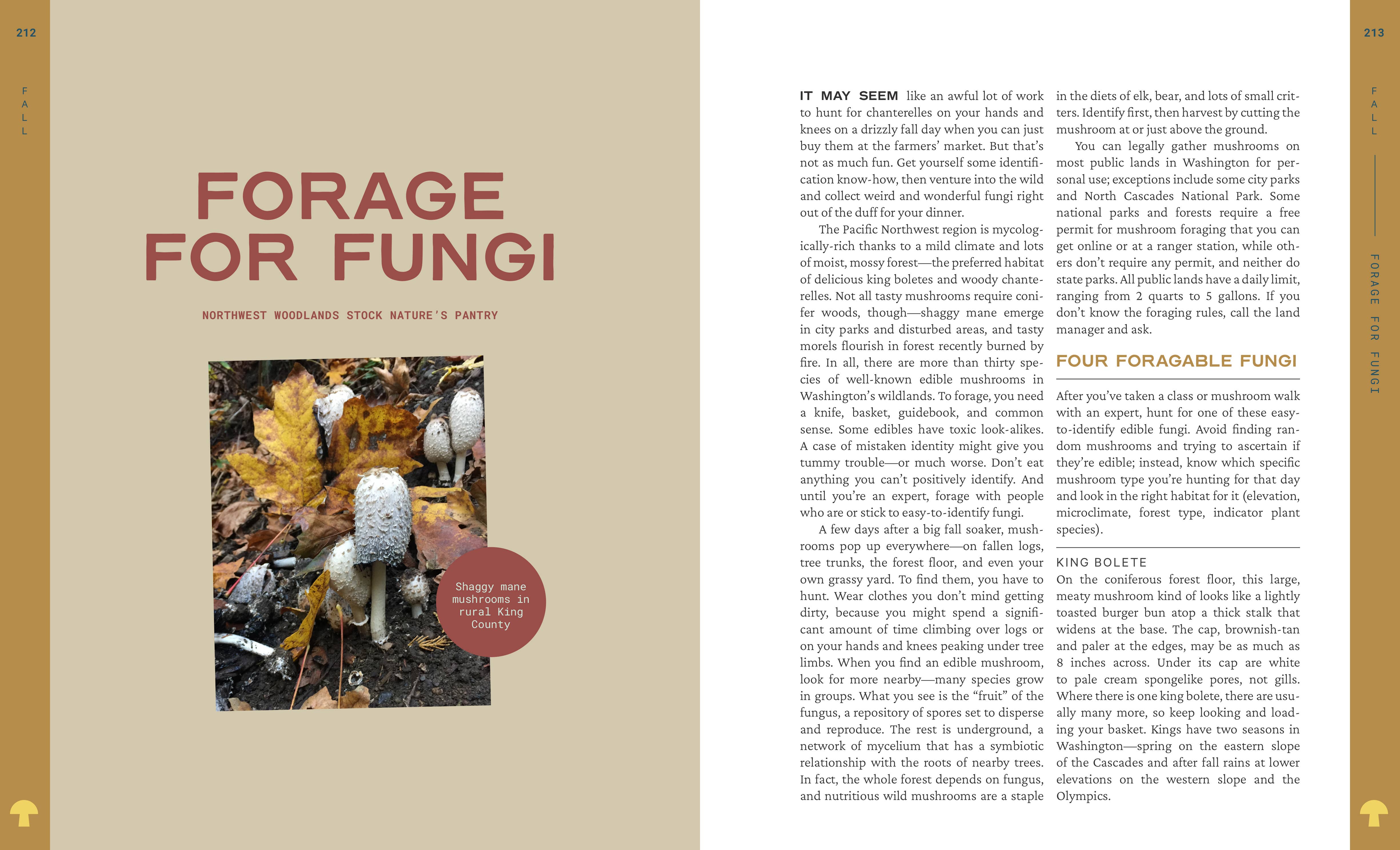 Mountaineers Books - Wholesale Nature & Outdoors Book - 52 Ways to Nature: Washington5