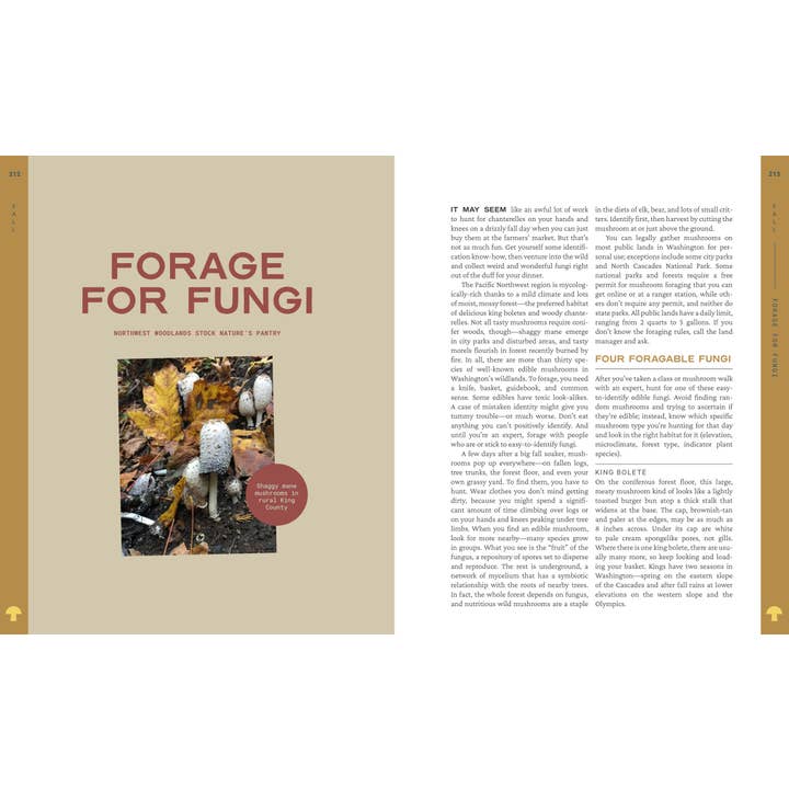 Mountaineers Books - Wholesale Nature & Outdoors Book - 52 Ways to Nature: Washington5