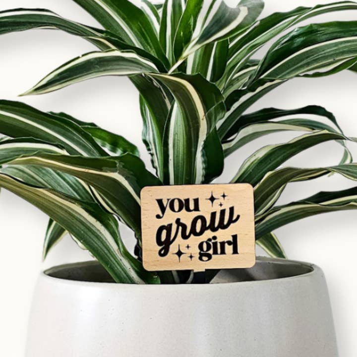 Leaf & Node - Wholesale Plant Pot - Funny Plant Sayings, Indoor Plant Accessories - Plant Stakes6