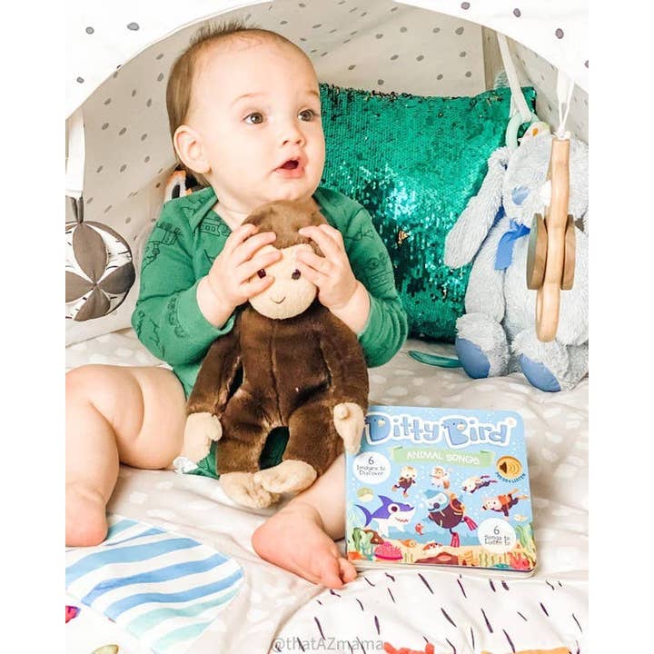 Ditty Bird Australia - Wholesale Book - Kids - Ditty Bird Book:Animal songs incl.Baby Shark- Best Toys