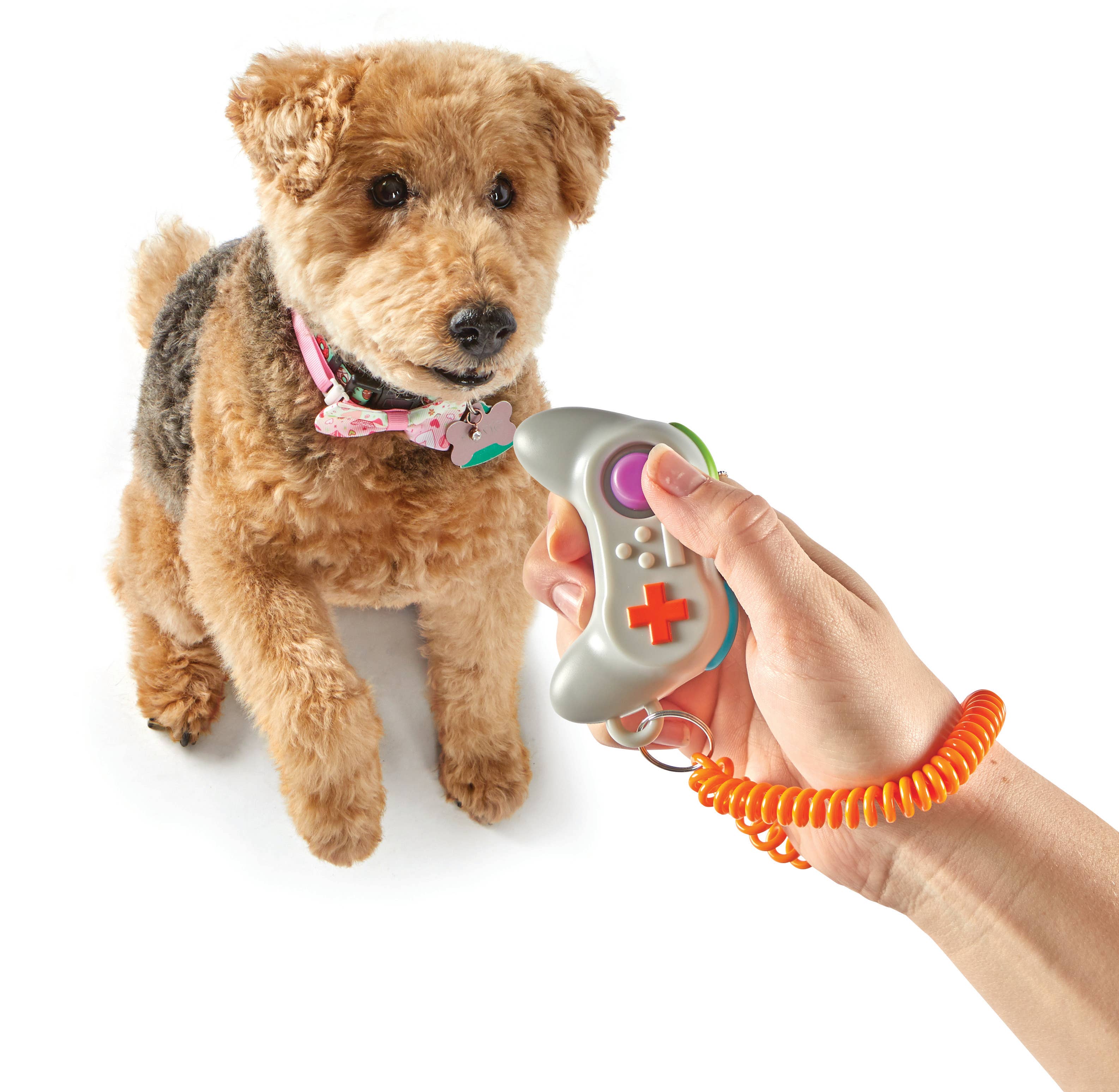 Hunger for Words and Brightkins - Wholesale Pet Toy - Dog - Brightkins™ Gaming Controller Training Clicker3