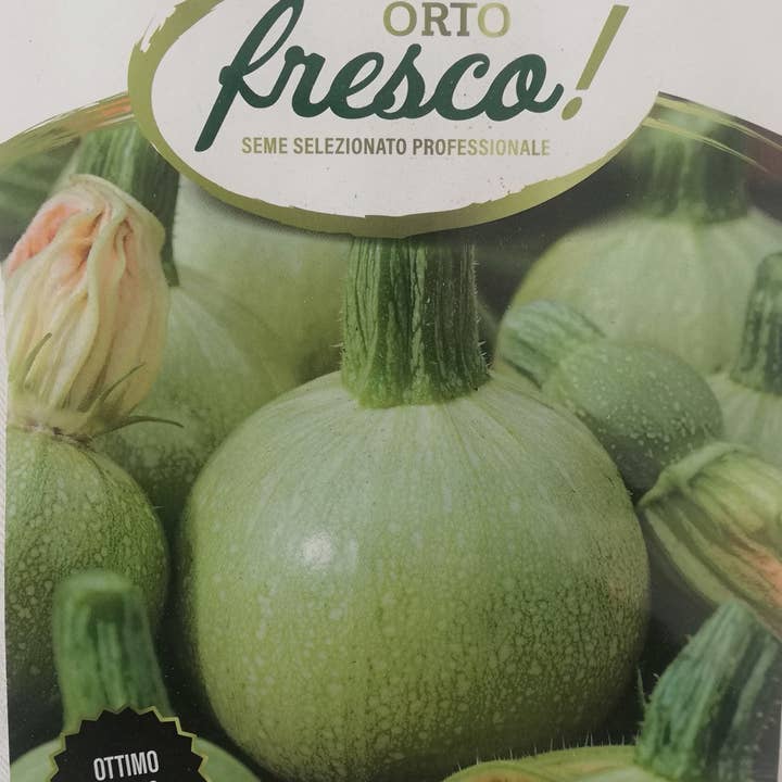 Sementi & Barbatelle - Wholesale Plant Seeds - Round Zucchini of Nice