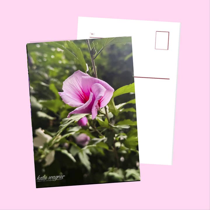 Rose of Sharon for wholesale by Katie Wagner Creative Studio