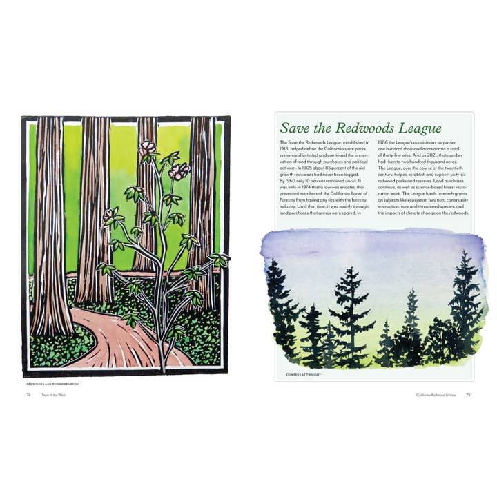 Mountaineers Books - Wholesale Nature & Outdoors - Trees of the West: An Artist's Guide10