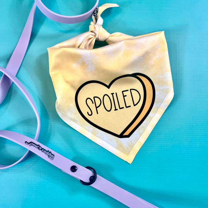 Spoiled | Convo Heart Dog Bandana | Valentine's Day for wholesale by The Dapper Paw