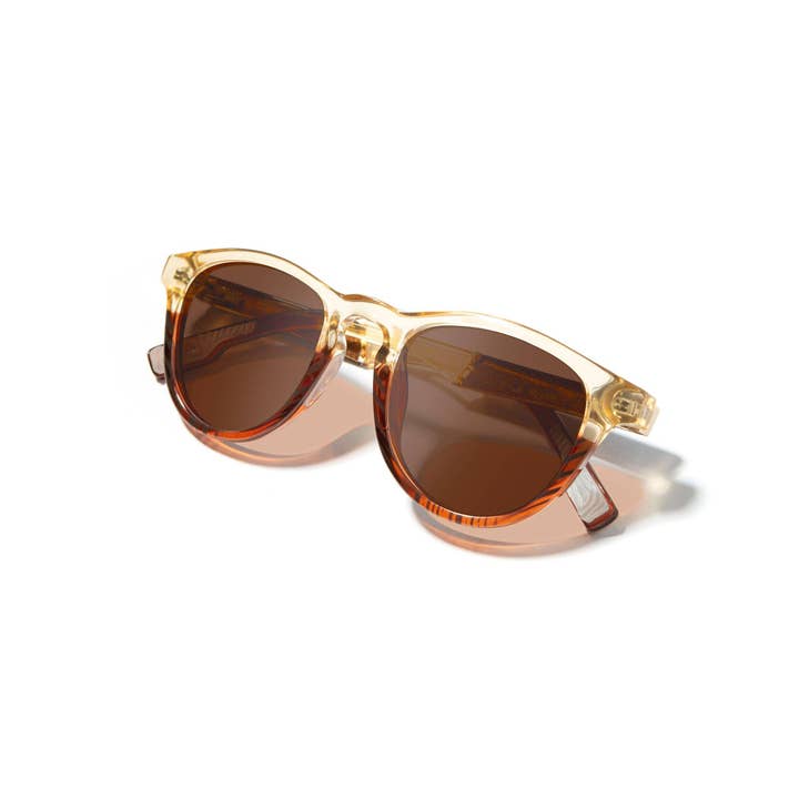 Shwood Eyewear - Vendita all'ingrosso Occhiali da sole - Unisex - Occhiali da sole Francis ACTV1