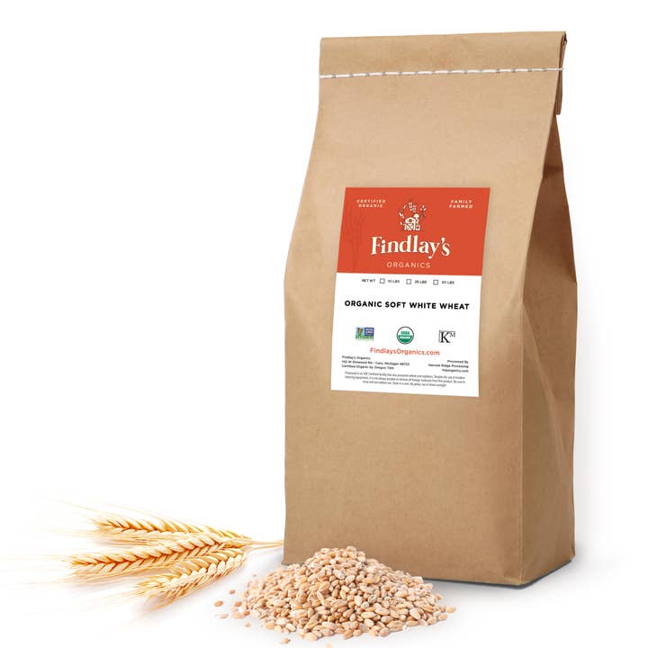 Soft White Wheat // Michigan Grown, USDA Organic Certified, Non-GMO for wholesale by Findlay's Organics