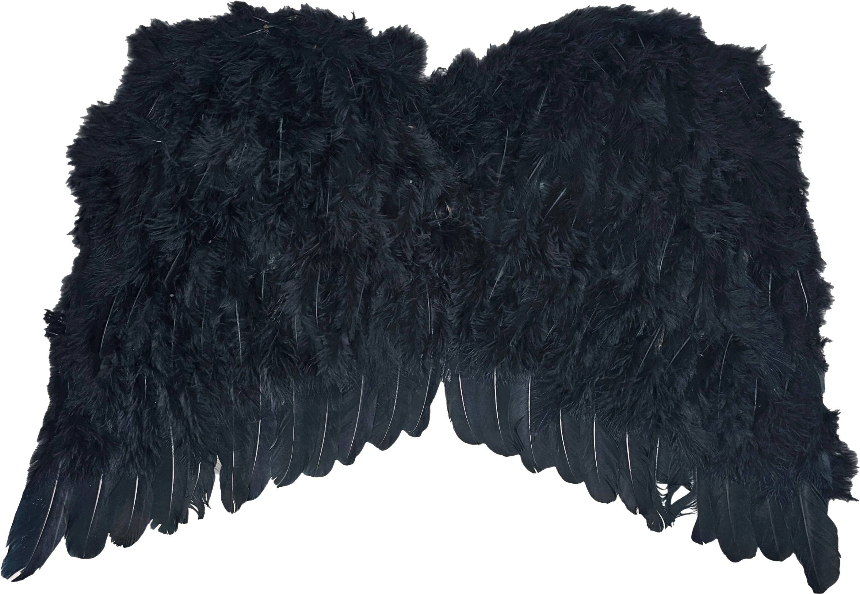 Fantasia Inc. - Wholesale Costume - Unisex - 22" Angel Wing - Black0