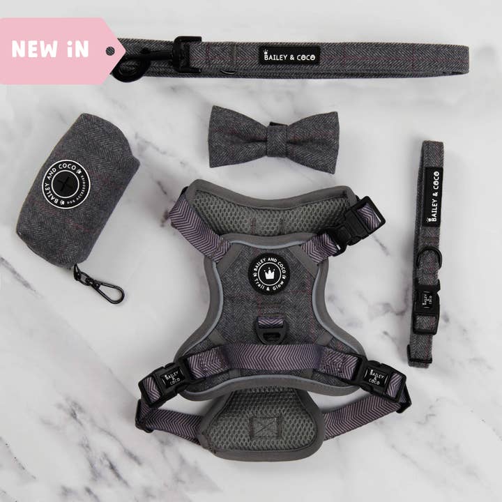 Trail & Glow® Dog Harness Bundle Set - Slate Tweed for wholesale by Bailey and Coco