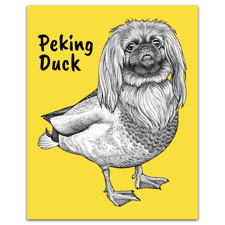 Peking Duck 8x10" Art Print for wholesale by Whatif Creations