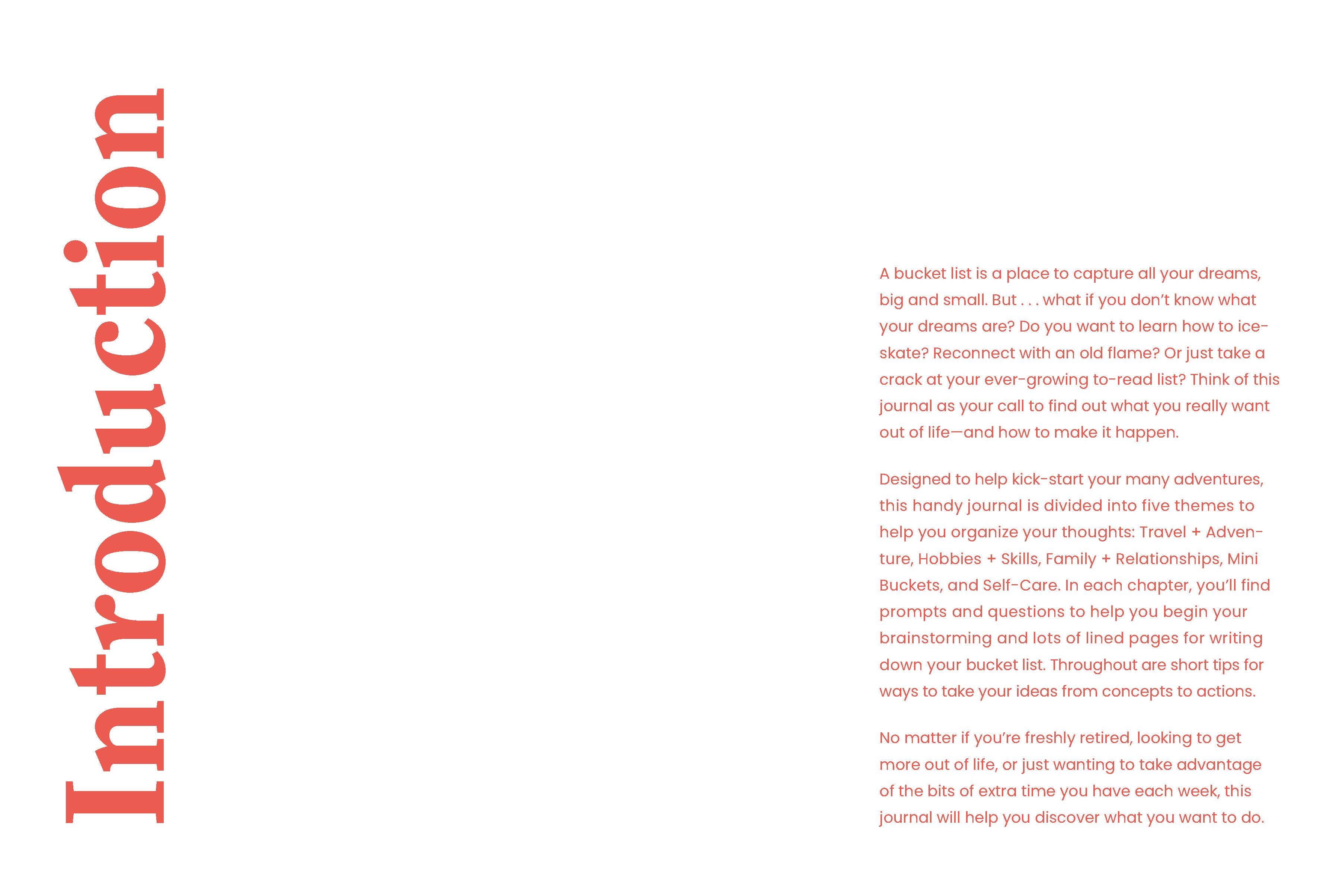 Chronicle Books - Wholesale Journal/Diary - Bucket List Journal2