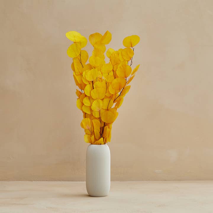 For Love Of Pampas - Wholesale Dried/Pressed Flowers - Preserved "Silver Dollar" Eucalyptus in Yellow (Discounted)