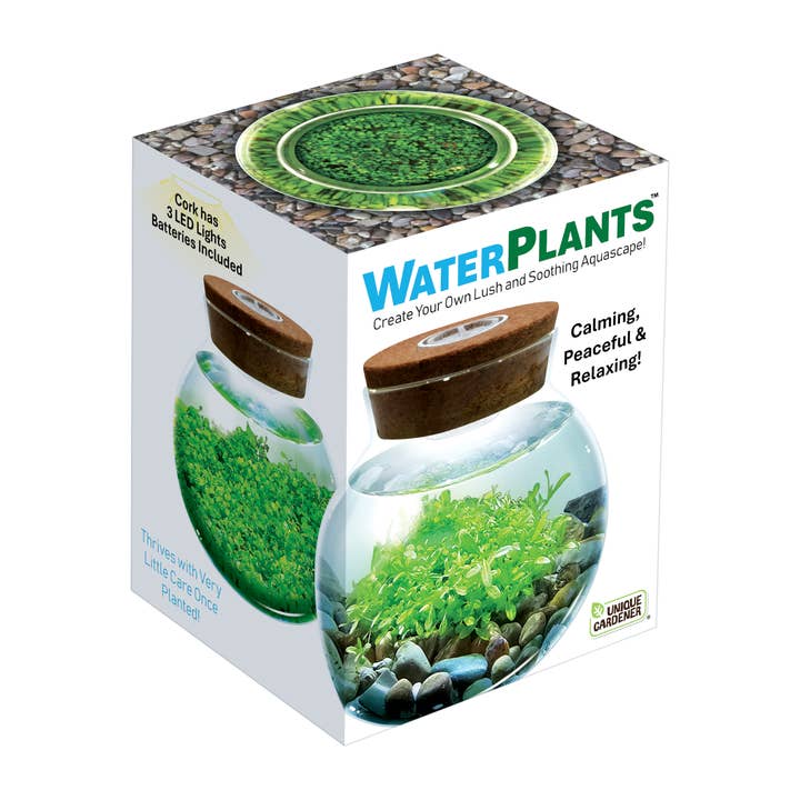 Silver Circle Products - Wholesale Terrarium - WaterPlants Aquatic Seed Kit Glass Terrarium with LED Light