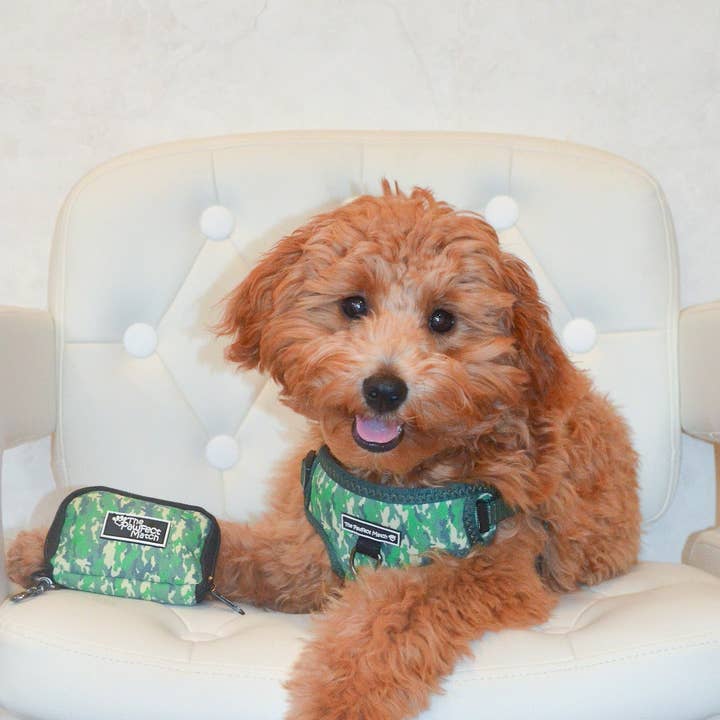 The Pawfect Match - Wholesale Pet Harness - Dog - Indognito Harness4