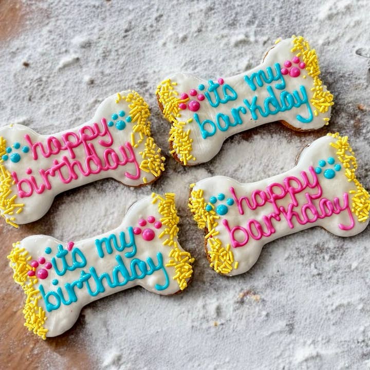 YumYum4DOGS - Wholesale Pet Treats - Dog - 6 inch Vibrant Barkday bones dog treats3