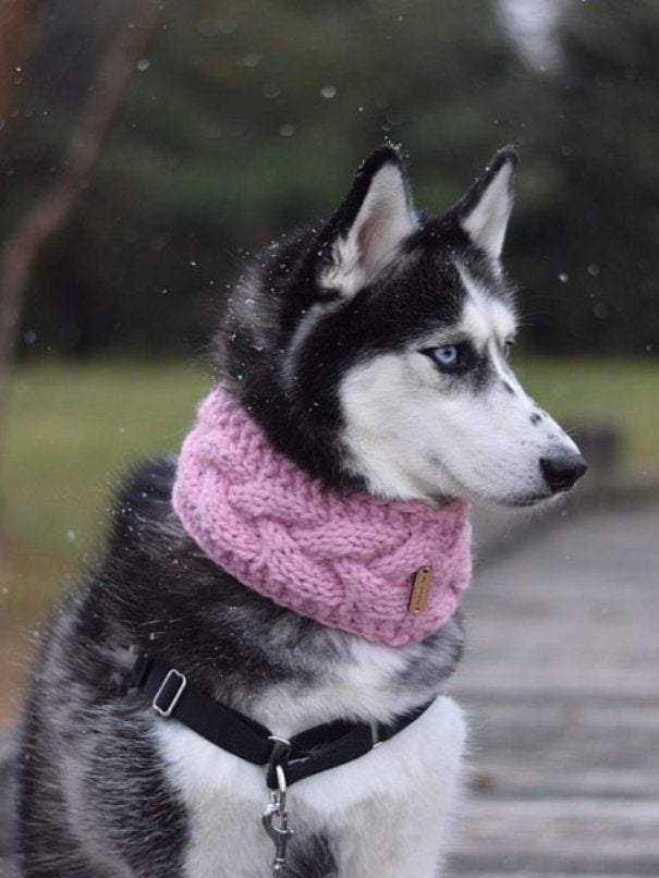 Braided Dog Cowl, Snood, Scarf for wholesale by Knits and Pups