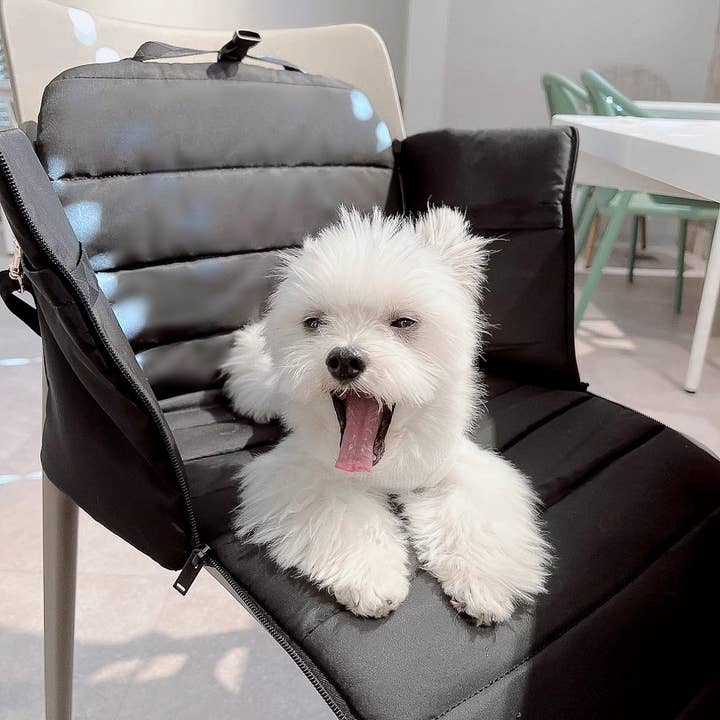 Pups & Bubs - Wholesale Pet carrier – Dog - Everywhere Convertible Tote Bag | Dog Carrier | 2 Colors9