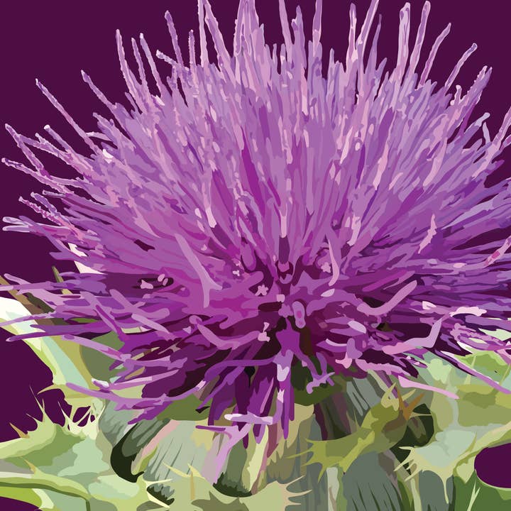 The Red Barn Press - Vente Carte de vœux classique - Carnet floral | Illustration botanique de chardon moderne2