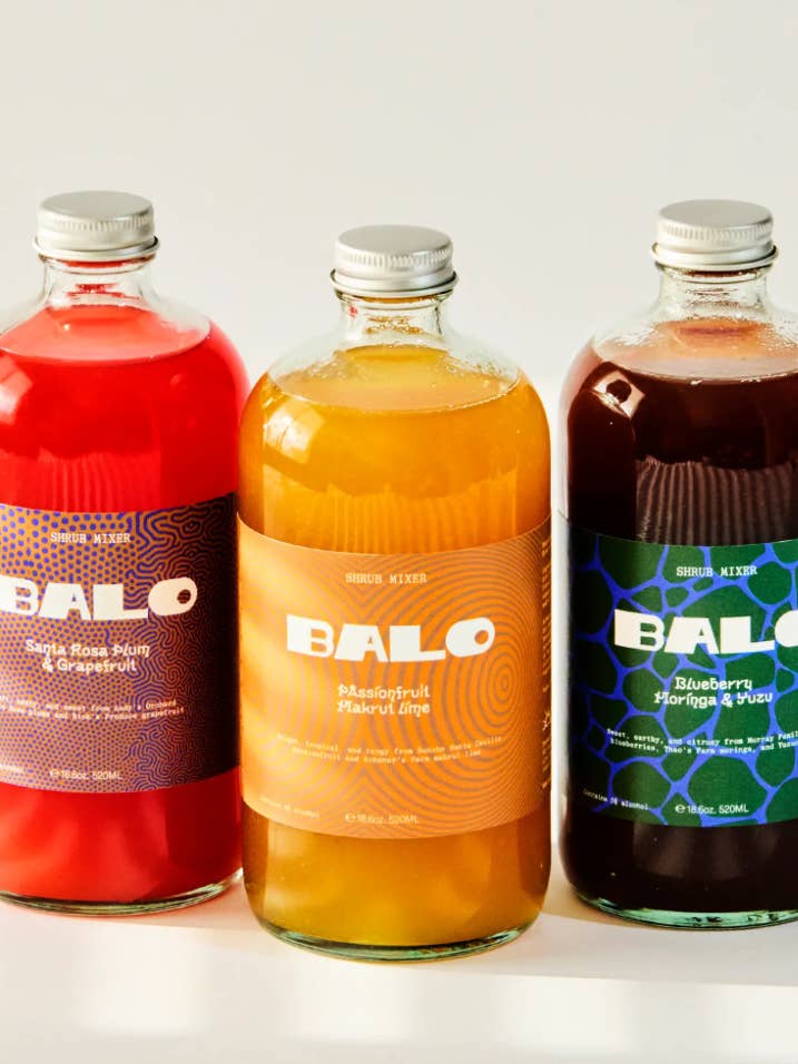 Shrub mixer Mixed flavors (12 bottles 18.3oz each) for wholesale by BALO.CO