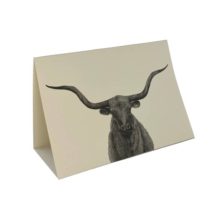 Longhorn Steer Cards for wholesale by Whitney Wares