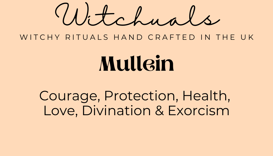 Witchuals - Rituals & Spellwork Apothecary – wholesale Meditation supplies – Mullein2