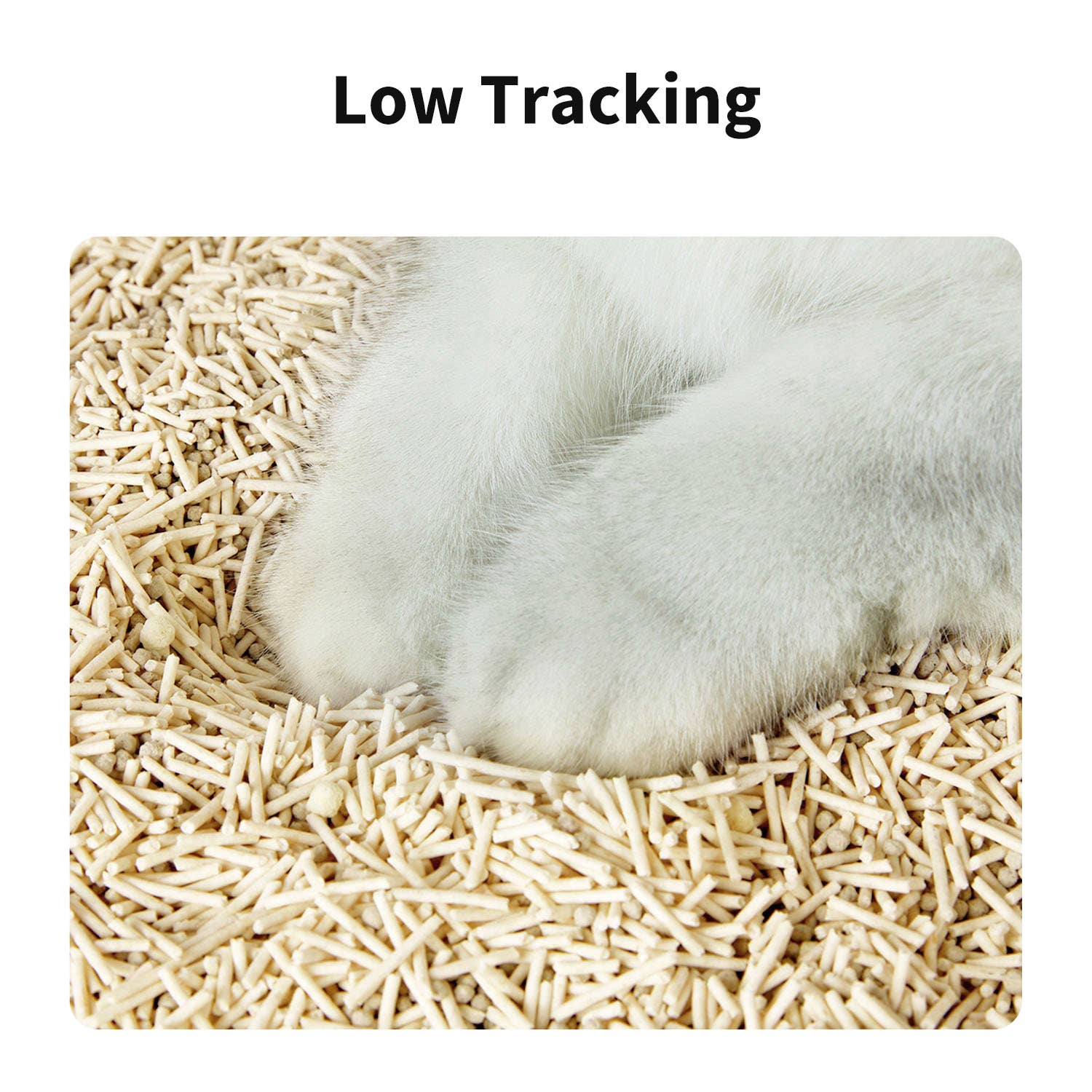 PETKIT - Wholesale Cat Litter - Occult Blood Test Unscented Clumping Tofu Cat Litter-4 Bags3