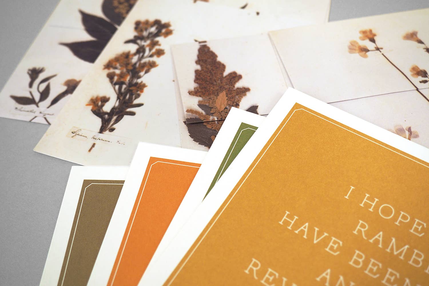 Chronicle Books - Wholesale Stationery/Notecard Set - Emily Dickinson Notecards8