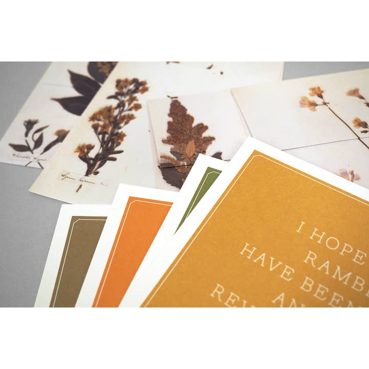 Chronicle Books - Wholesale Stationery/Notecard Set - Emily Dickinson Notecards8