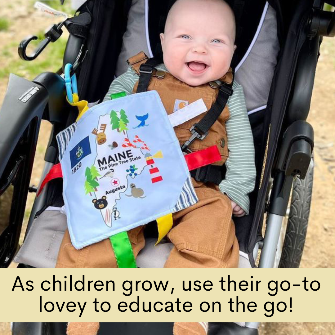 Baby Jack and Company - Wholesale Crinkle Tag Toy - Baby - Massachusetts State Baby Learning Crinkle Square 8"x 8" Toy6