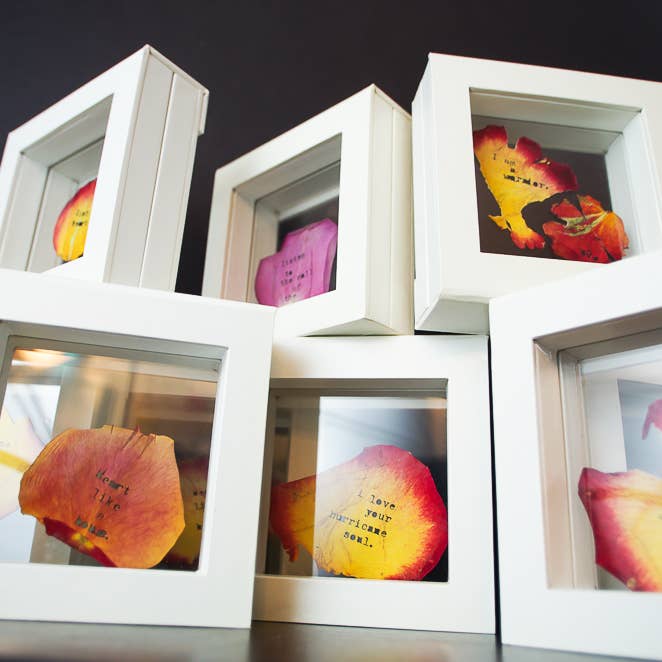 Shadowbox Display Box, novelty display stand for art photos for wholesale by Resolute Star