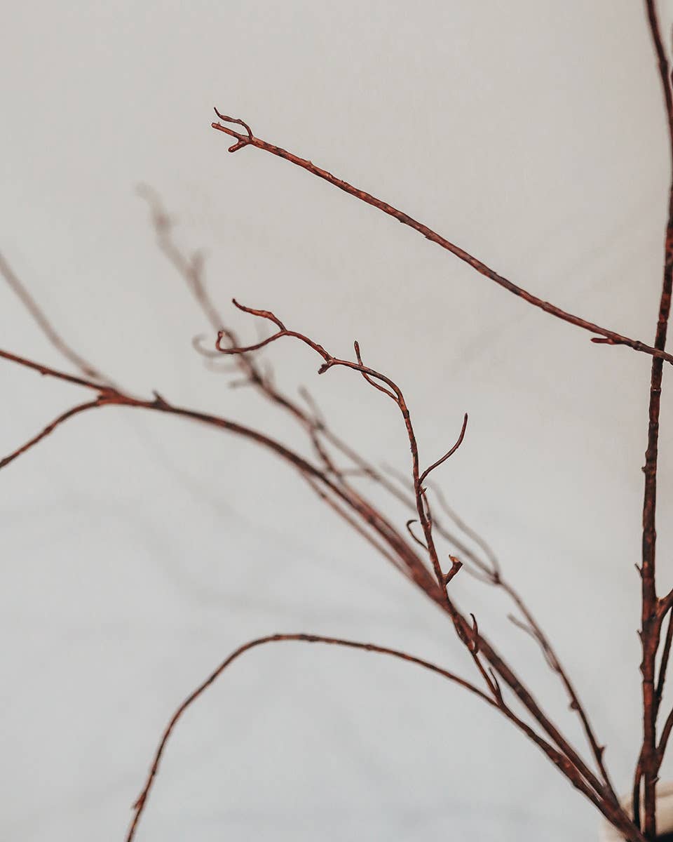 Prestige Botanicals – Planta artificial por atacado – Galho de Salgueiro Torcido de 44 polegadas (111,8 cm)6