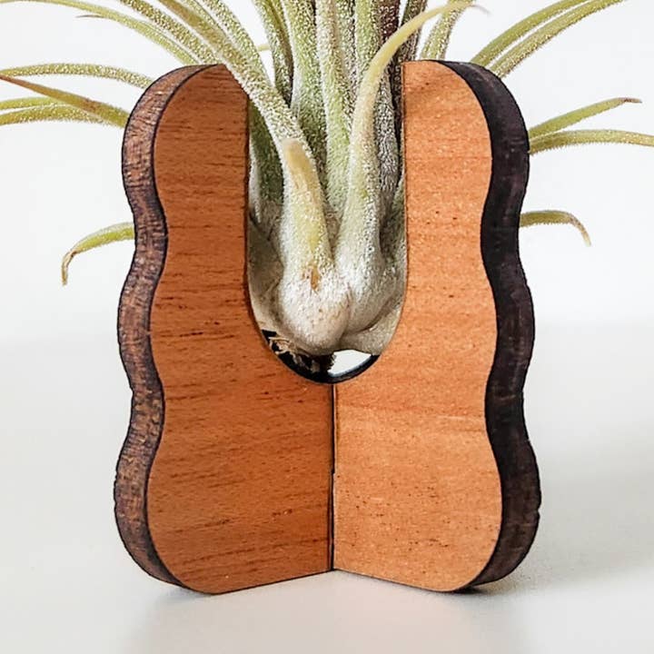 Support pour plantes aériennes - Présentoir en bois (côtés ondulés) pour la vente par Leaf & Node