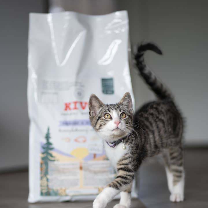 Kivo Petfood - Wholesale Pet Food - Cat - Turkey & Rice - 5kg - Kitten4