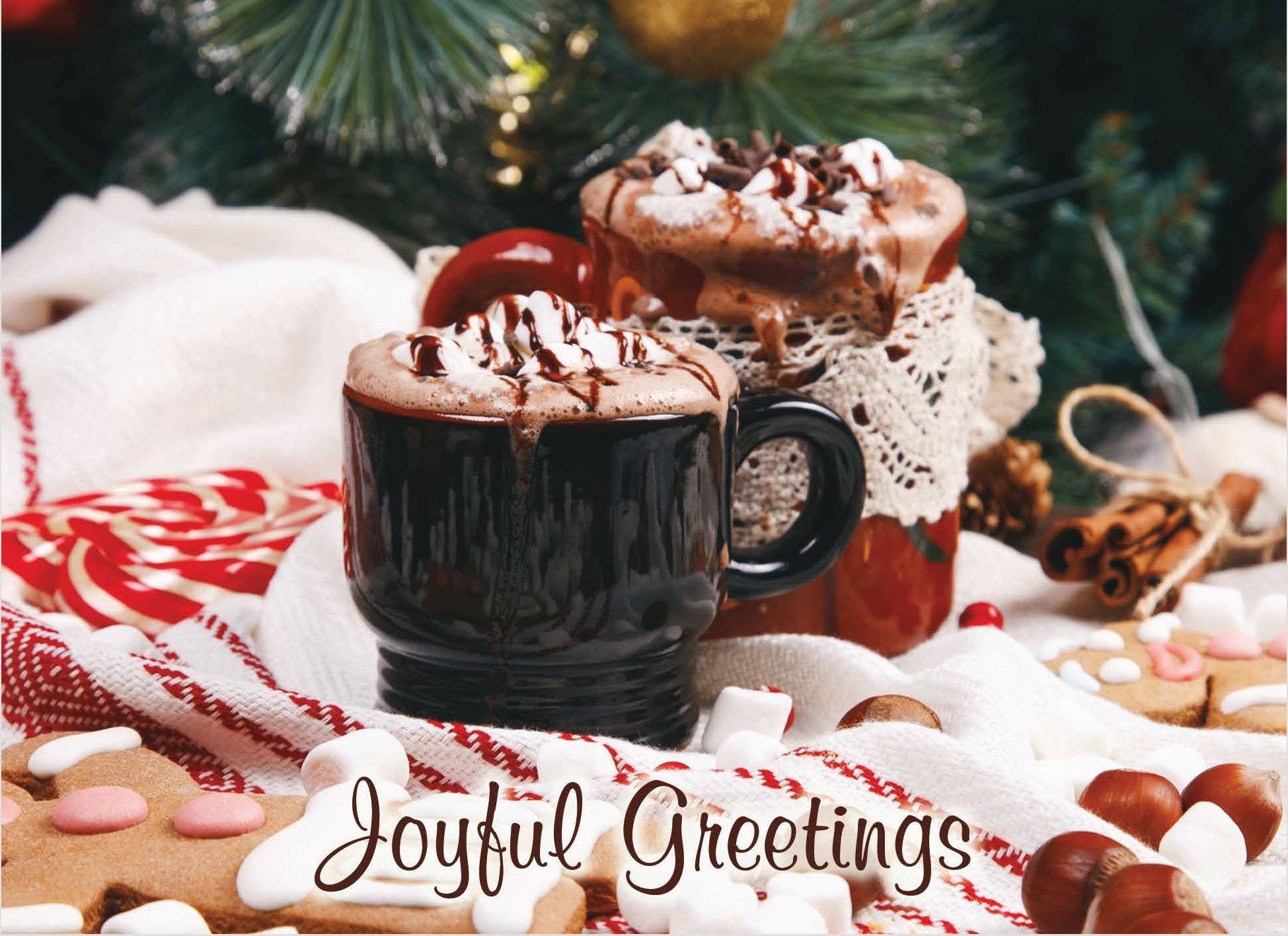 Crown Point Graphics - Vente Cartes de Noël - Cartes de Noël religieuses en boîte - Noël douillet KJV8