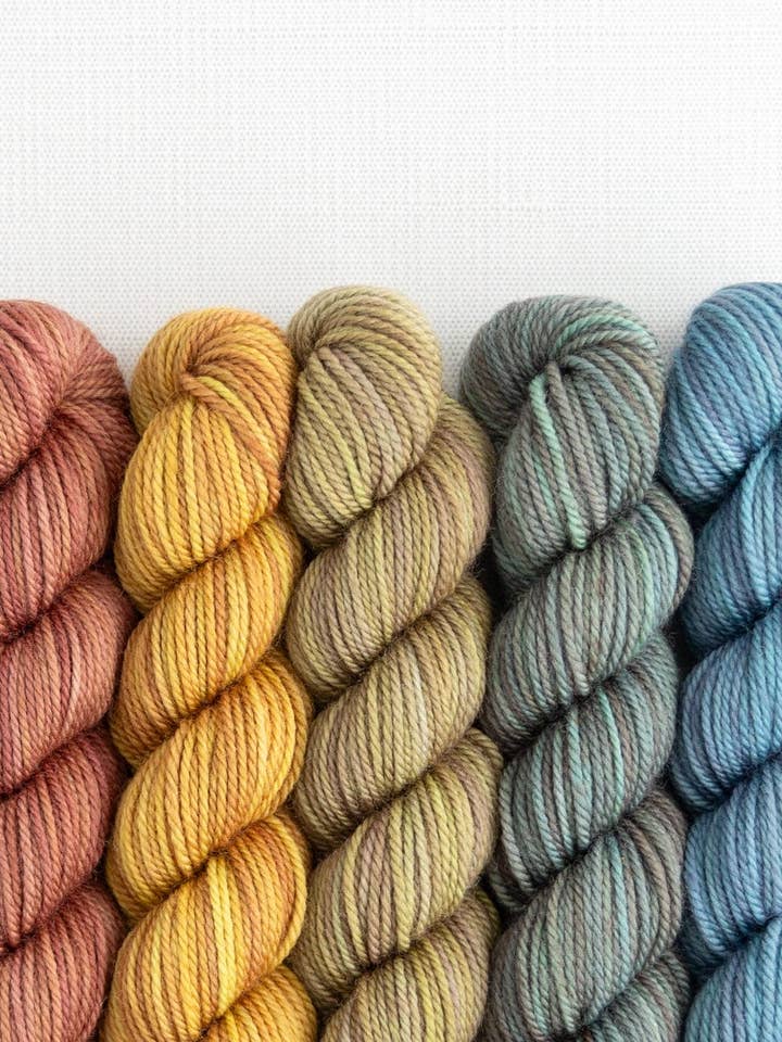 Party of Five / Tough Love / Ensemble Mini-Skein pour la vente par SweetGeorgia Yarns Inc.