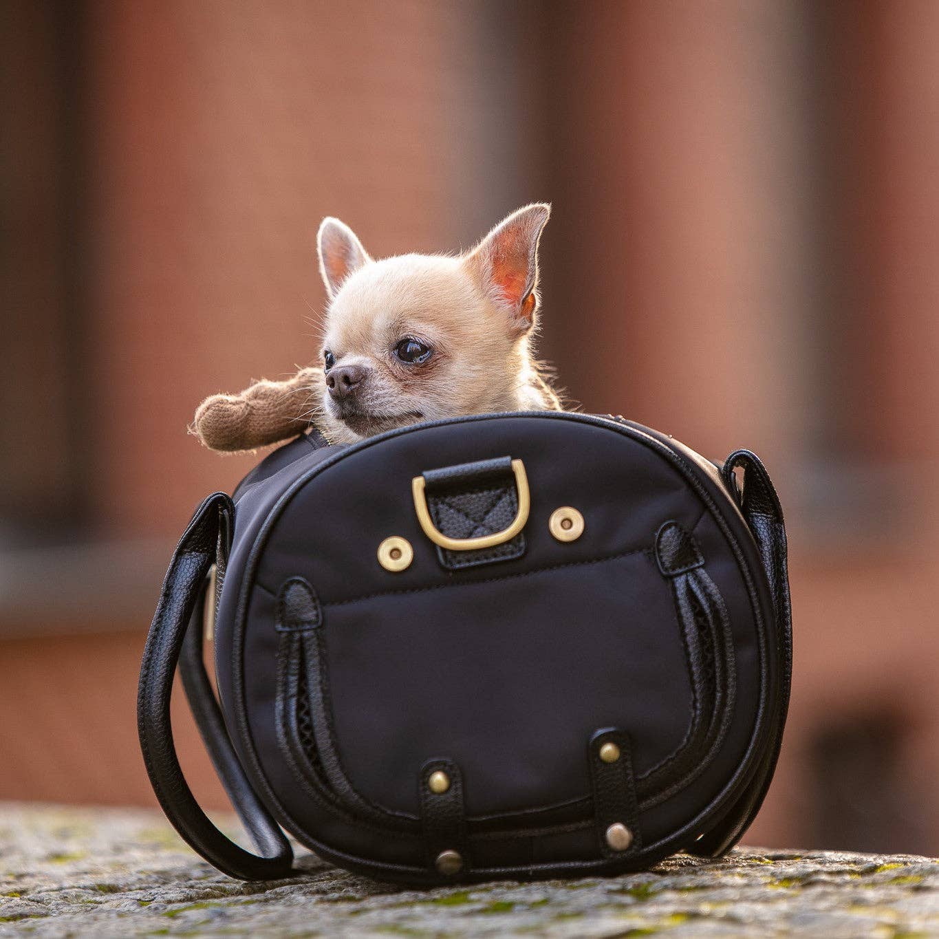 MERÏKH bags & accessories ©™ - Vente Caisse de transport – chat et chien - Sac de transport pour animaux approuvé par les compagnies aériennes S - Noir16