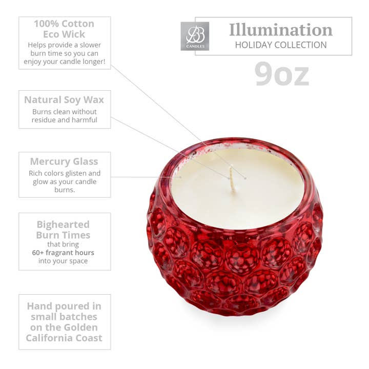 REMOVED BRAND - Wholesale Jar/Filled Candle - BB Illumination Holiday Collection-9oz-Sparkling Cranberry3